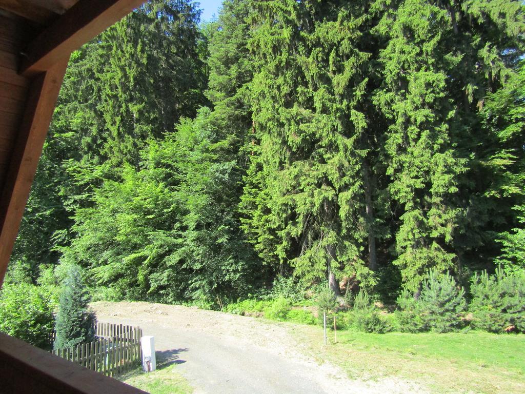 Holiday home Rekreacni Dum Brdy Ohrazenice (Pribram)